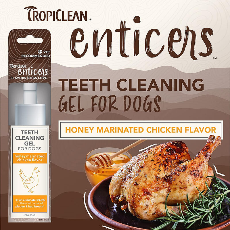 Tropiclean Enticers Teeth Cleaning Gel Chicken 2oz