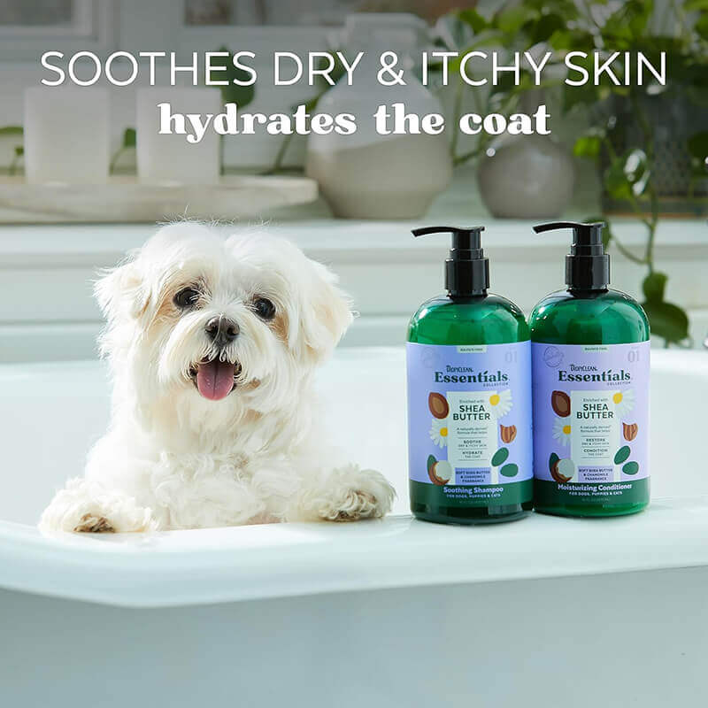 Tropiclean Essentials Soothing Shea Butter Shampoo for Dogs and Cats