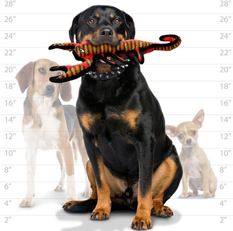 Tuffy® Desert Scorpion