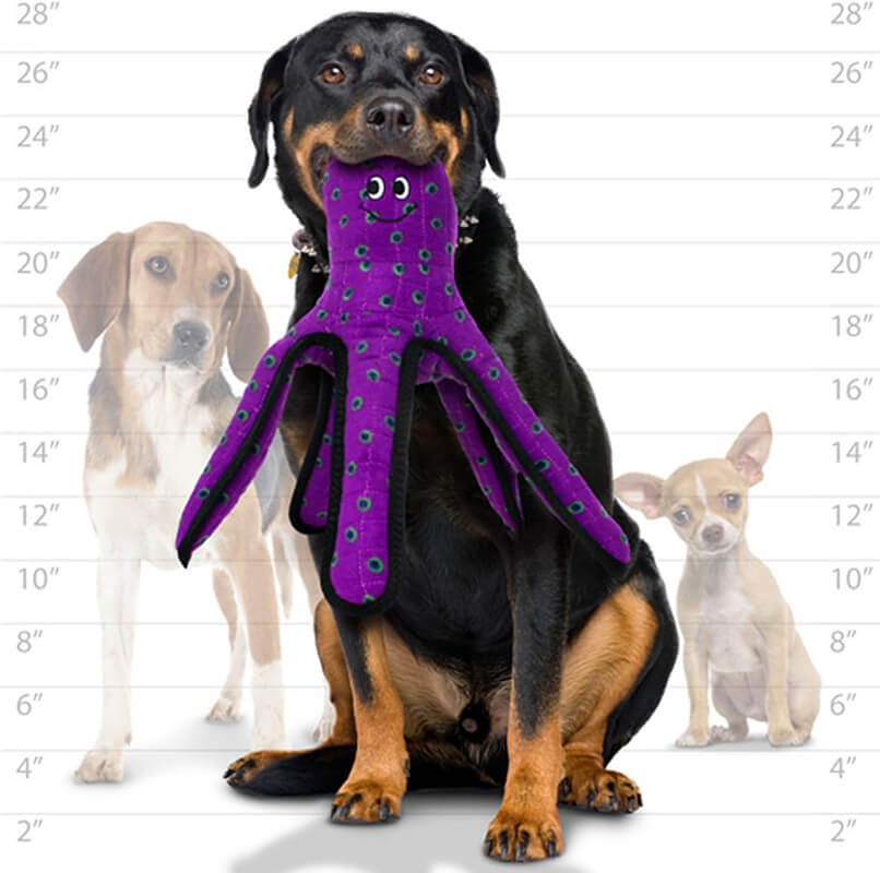 Tuffy® Ocean Octopus Large