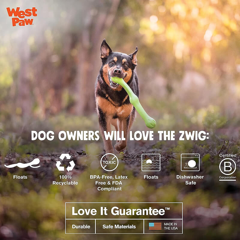 West Paw Zwig