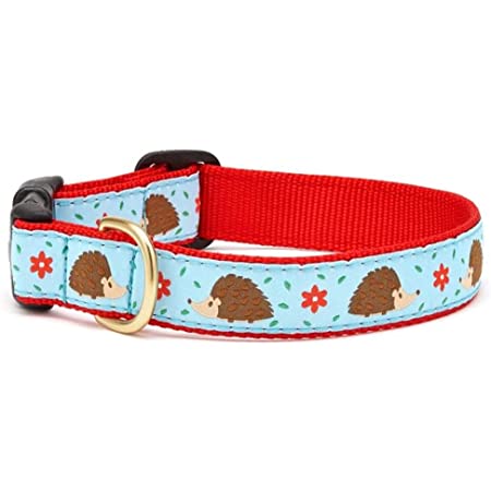 Up Country Collar Hedgehog