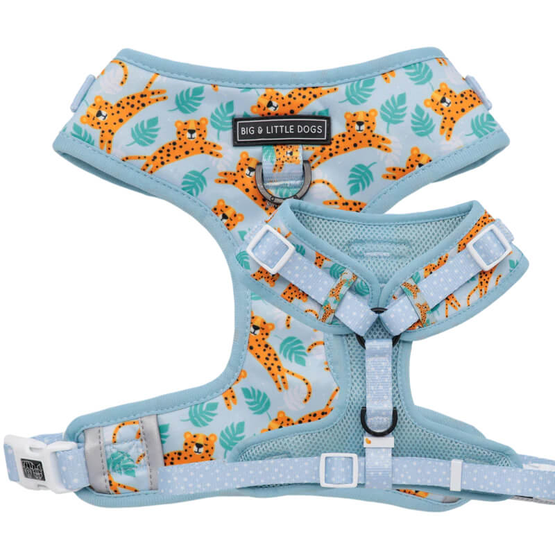 Little Dogs Adjustable Harness: Go Get Em' Tiger