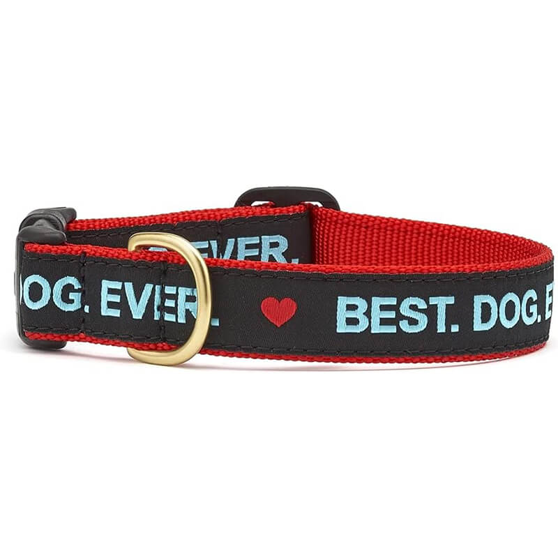 Up Country Collar Best Dog Ever