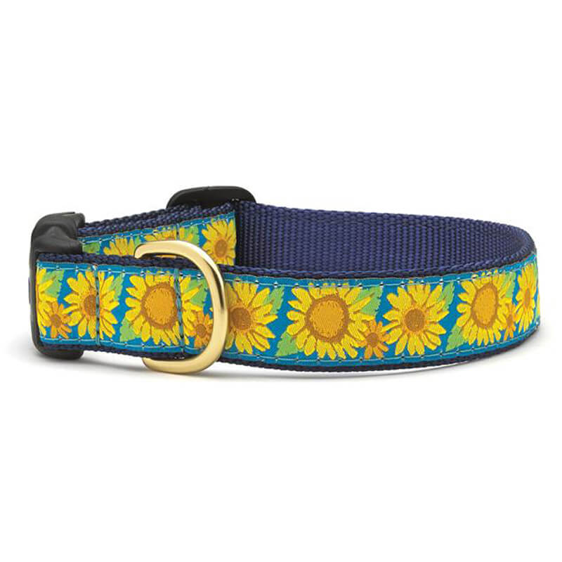 Up Country Collar Bright Sunflower