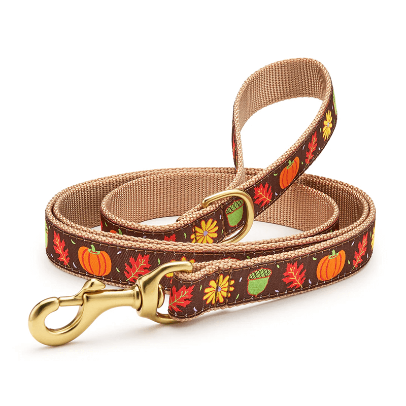 Up Country Harvest Time Leash