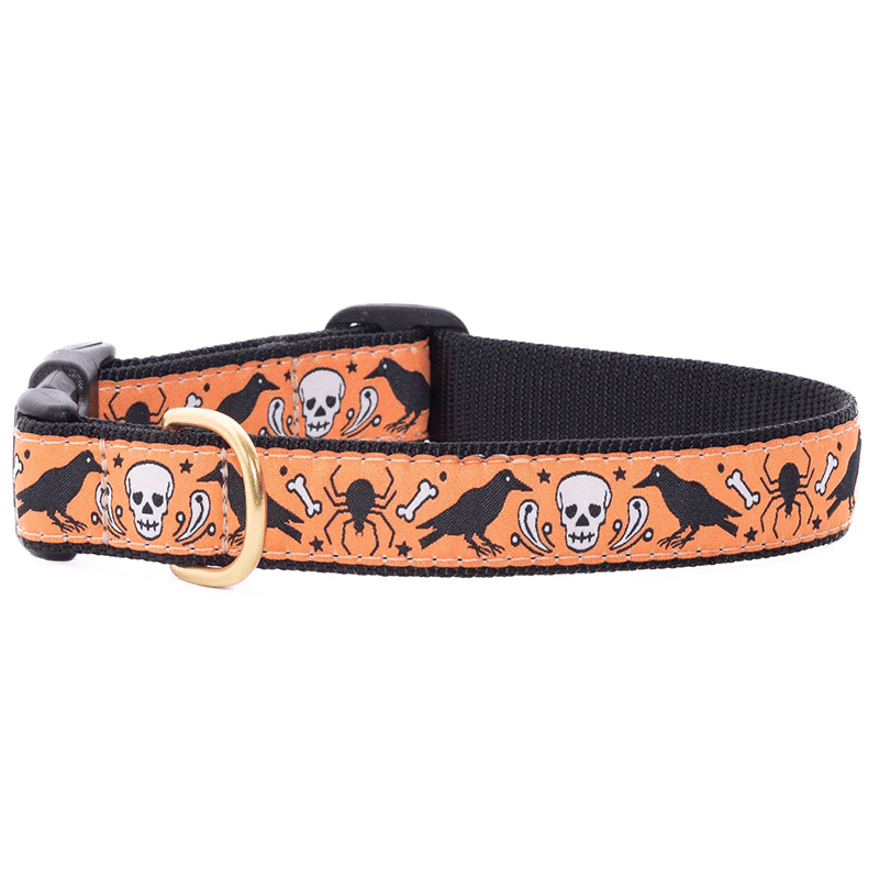 Up Country Collar Nevermore