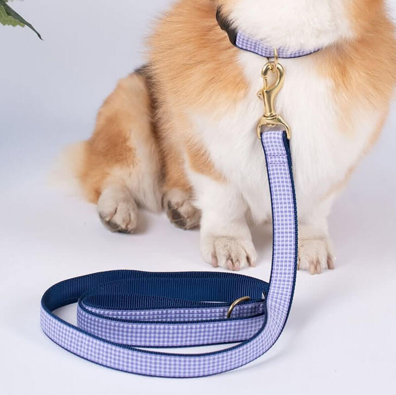 Up Country Purple Gingham Leash