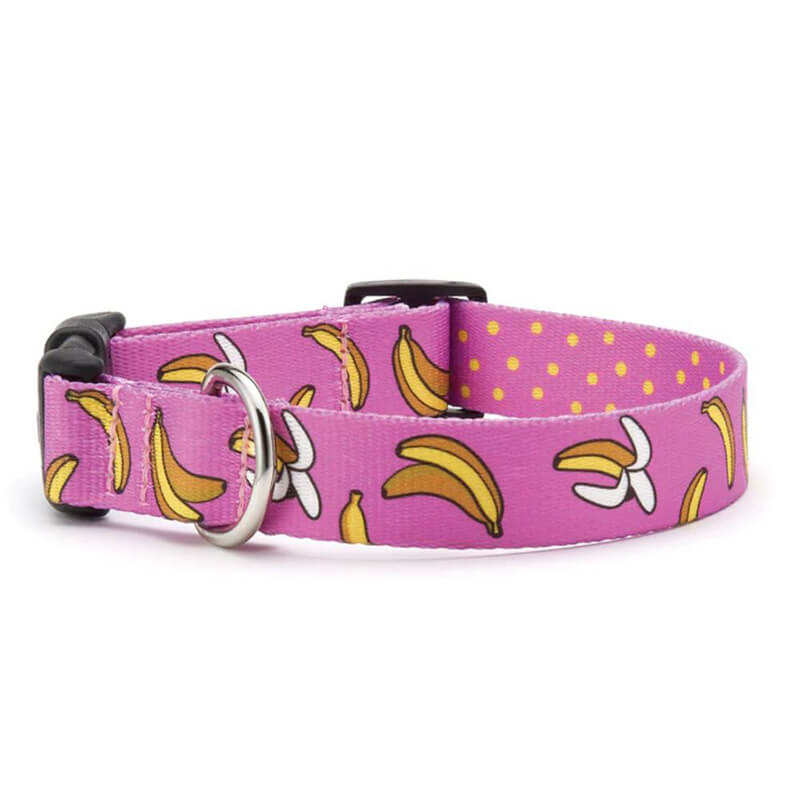 Up Country Sport Collar Go Bananas
