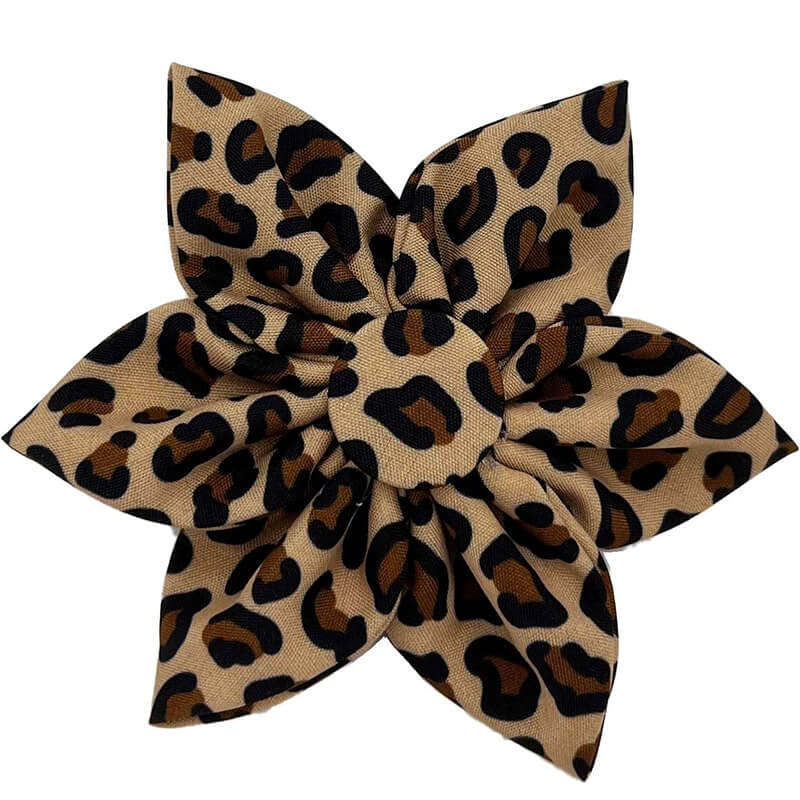 Huxley & Kent Pinwheel Tan Leopard