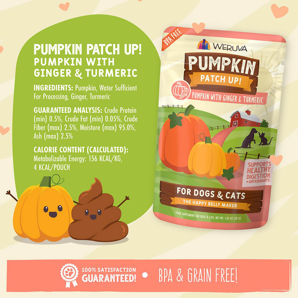 Weruva Pumpkin Patch Up! With Ginger & Turmeric