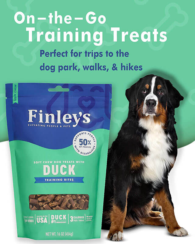 Finley's Soft Chew Training Bites Duck