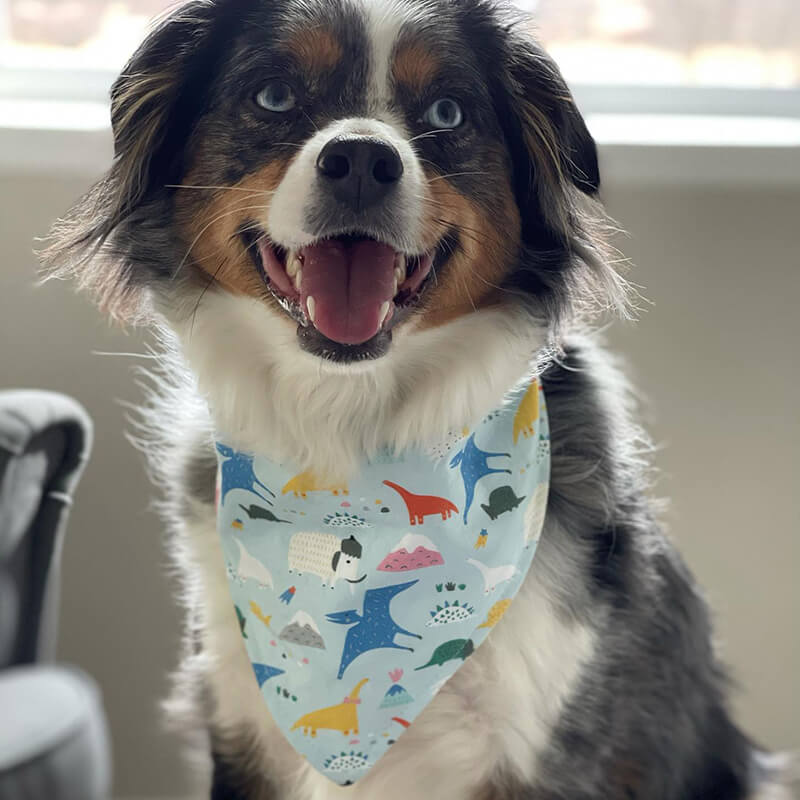 Bibby Bubby Bandana - Blue Dinosaurs