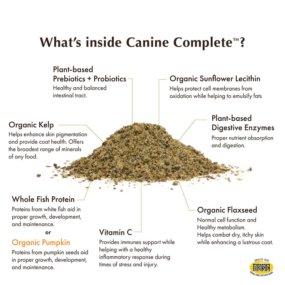 Wholistic Pet Organics Canine Complete Pumpkin