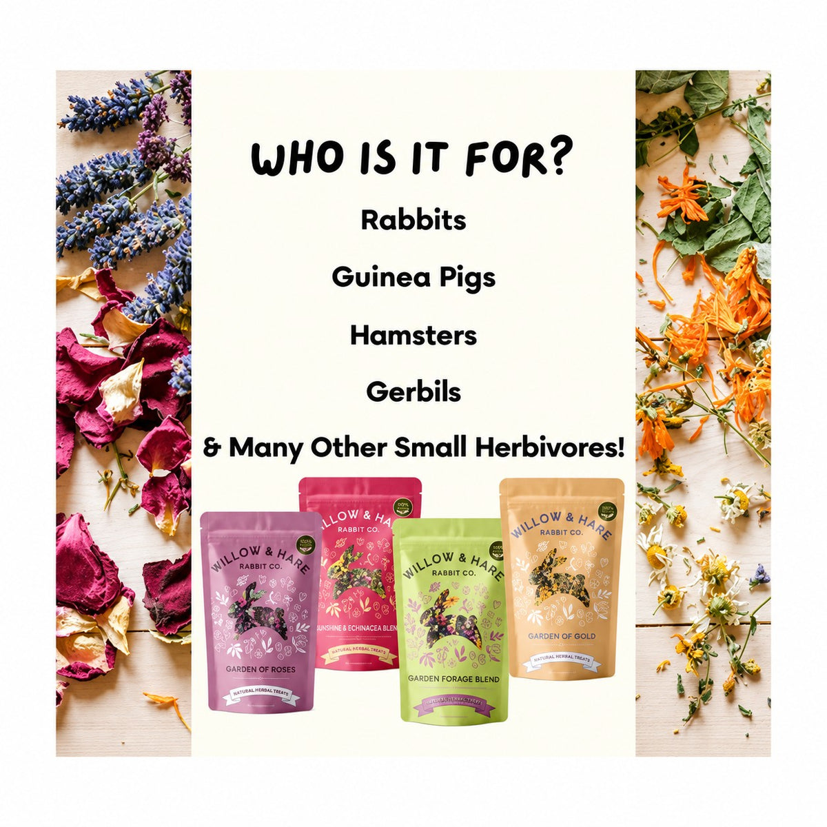 Willow and Hare Co. Summer Forage Blend