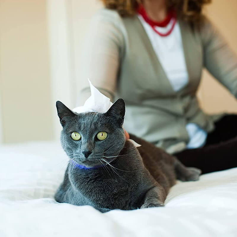 EarthBath Hypoallergenic Grooming Cat Wipes