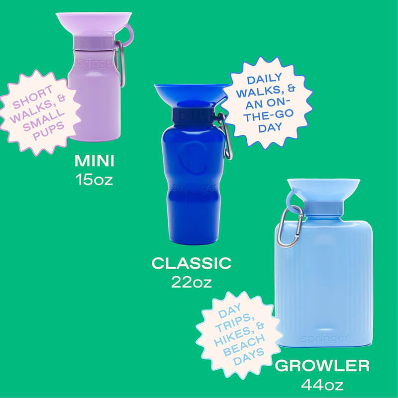 Springer Classic Dog Water Travel Bottle