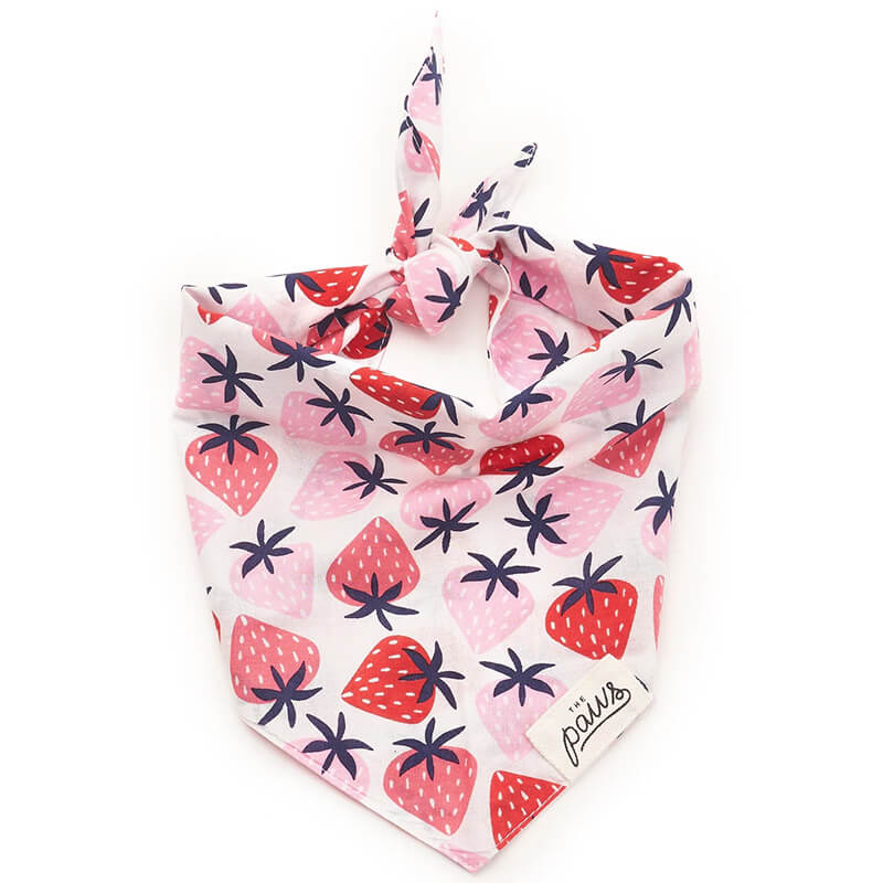 The Paws Bandana - Fresh As