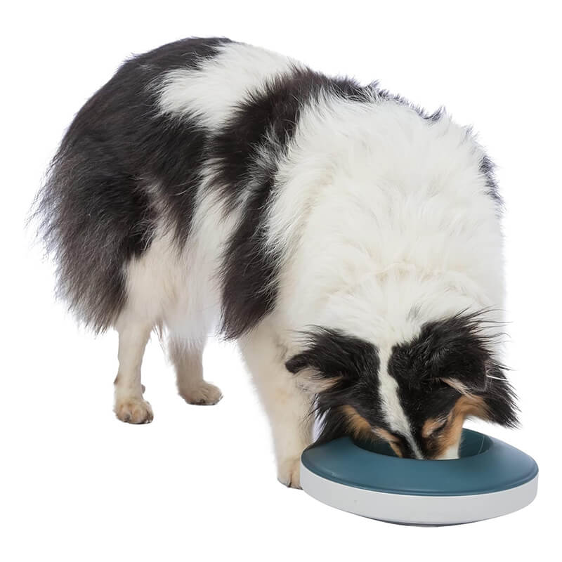 Trixie Slow Feeding Rocking Bowl