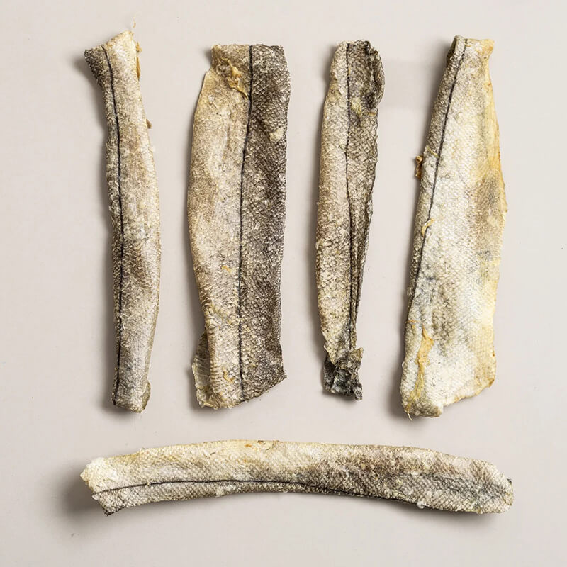 Polka Dog Haddock Skin Tube
