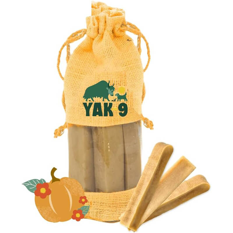 Yak9 Pumpkin Cheese Chew