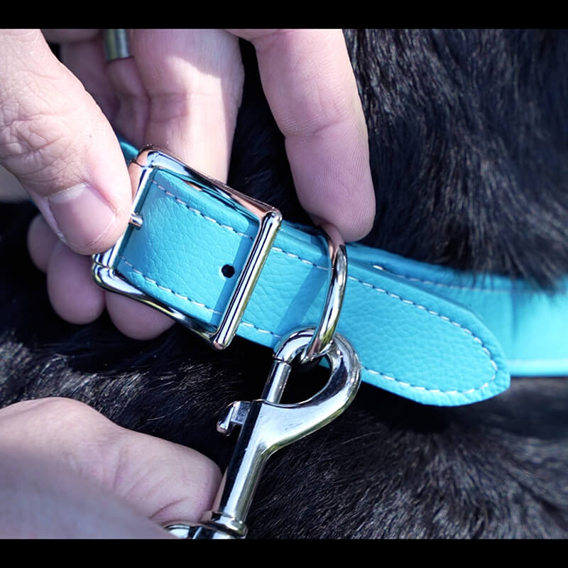 Auburn Leathercrafters Tuscany Italian Leather Collar