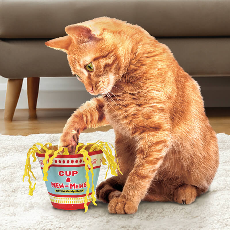 Kong Crackles Noodles
