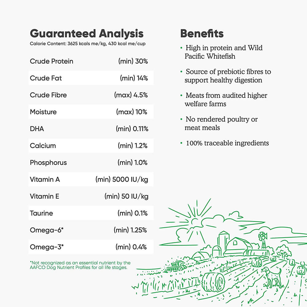 Open Farm Grain-Free Catch-of the-Season Whitefish