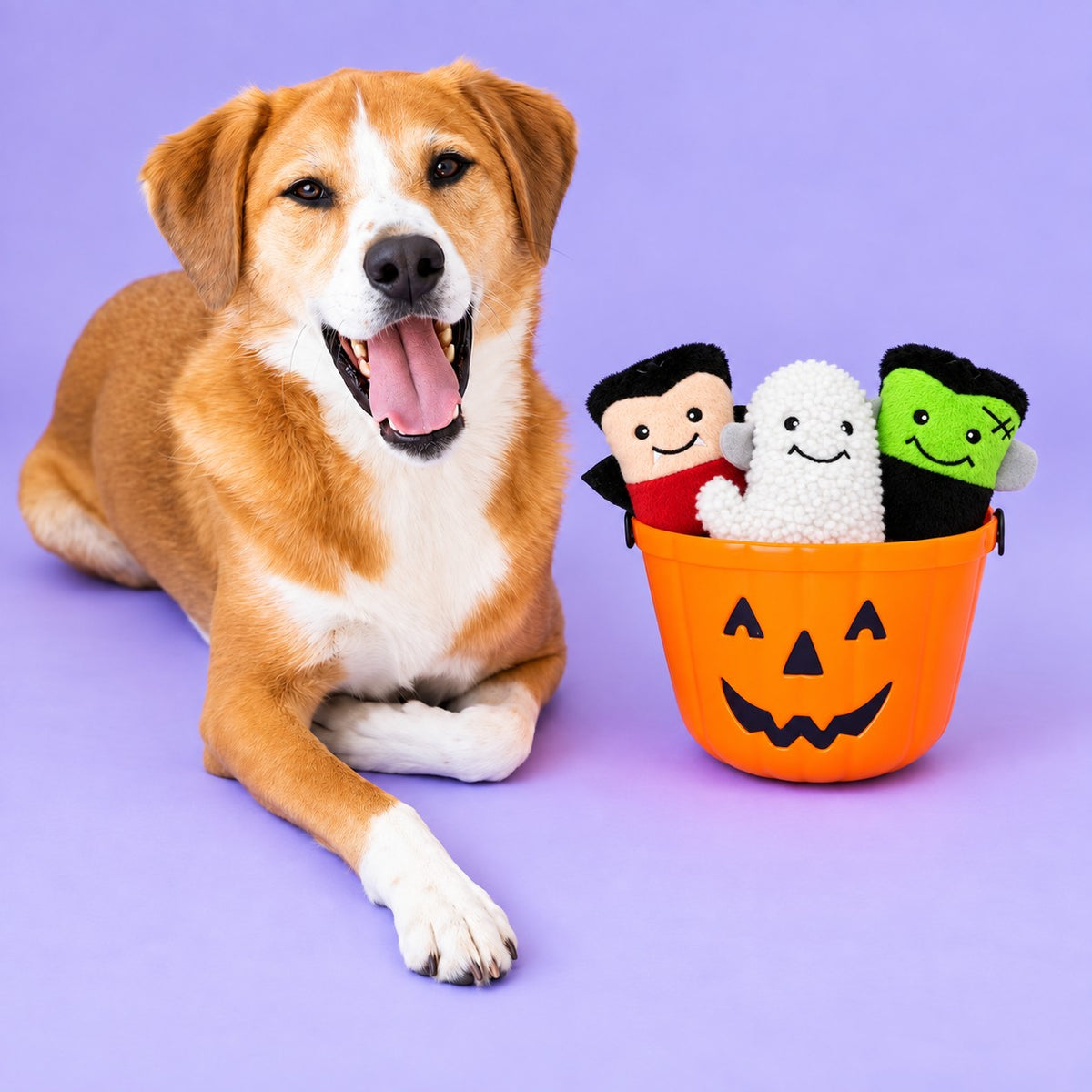 Zippy Paws Halloween Miniz Monsters 3-Pack