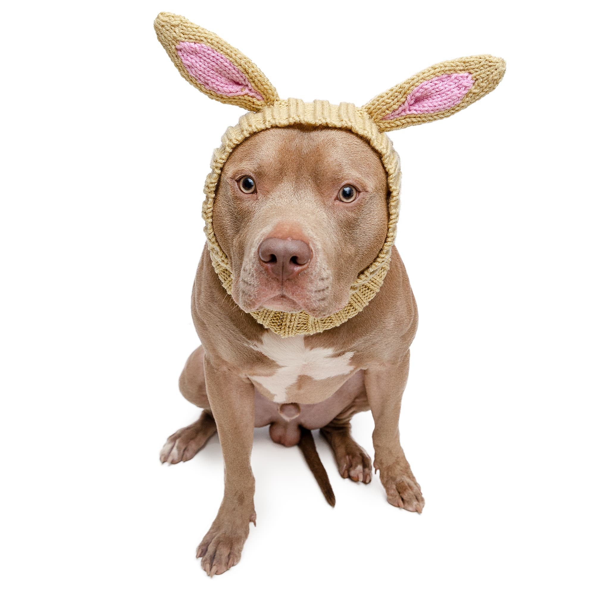Zoo Snoods Jack Rabbit