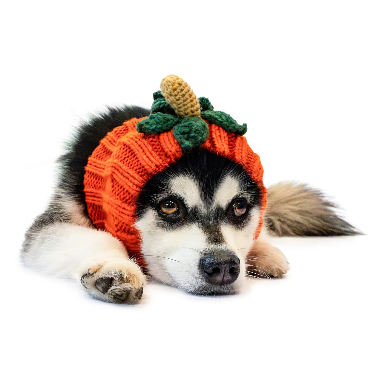 Zoo Snoods Pumpkin