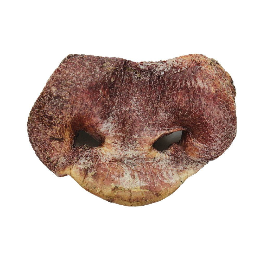 Vital Essential Freeze Dried Pig Snouts