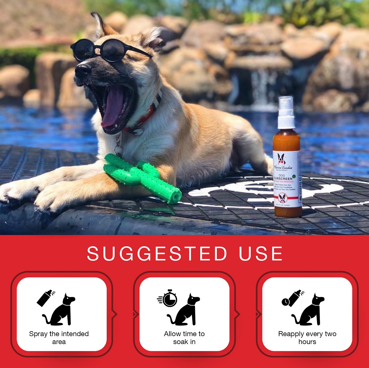 Warren London Dog Sunscreen