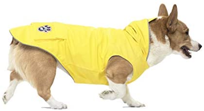 Canada Pooch Tracker Yellow Raincoat