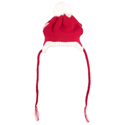 The Worthy Dog Santa Hat