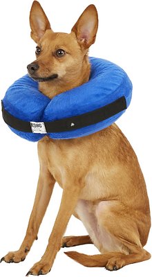 Kong Cloud E Collar