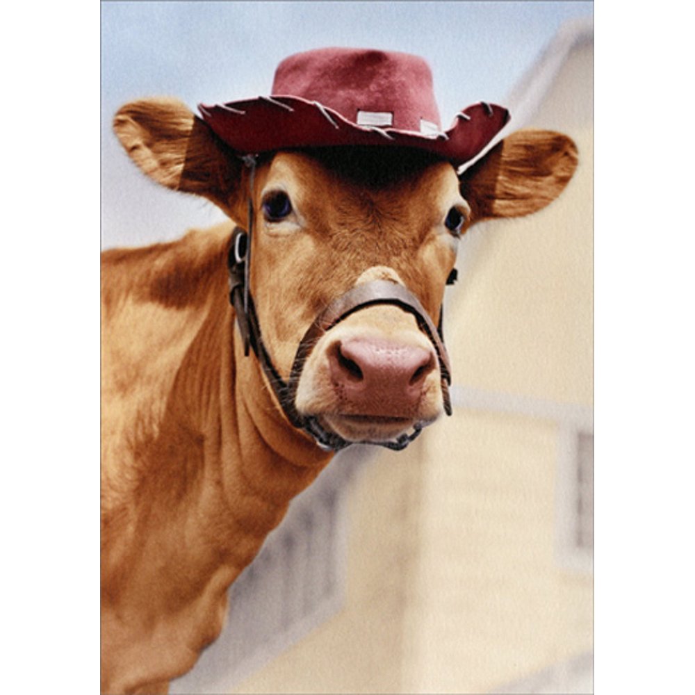 Avanti America Greeting Card - Jersey Cow With Hat