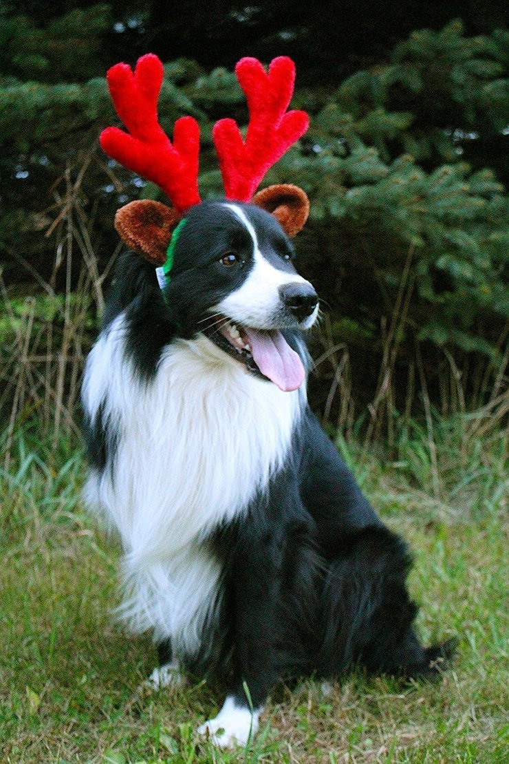Midlee Christmas Reindeer Antlers