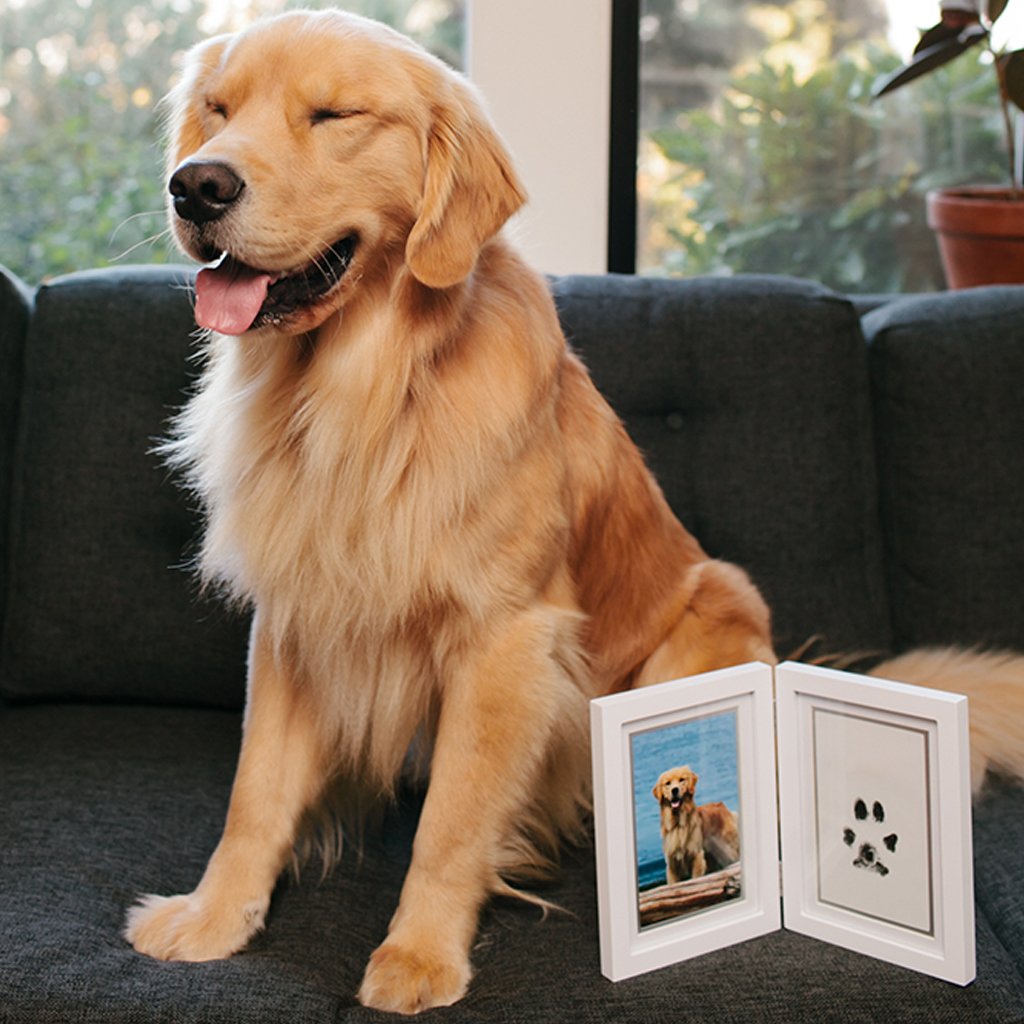Pearhead Pawprints Desk Frame and Clean Touch Ink Kit