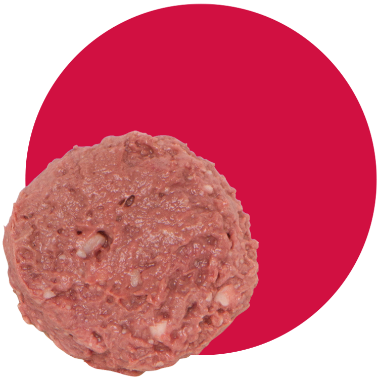 SmallBatch 100% Raw Beef Blend