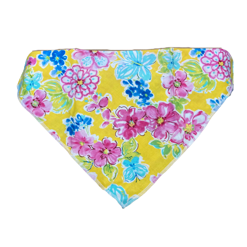 Dapper Dexter Spring Bandana