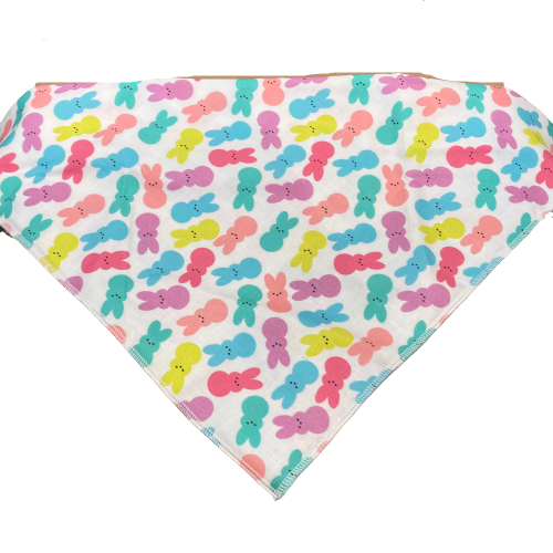 Dapper Dexter Spring Bandana