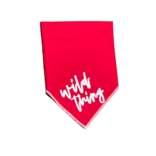 Dapper Dexter Valentine Bandana