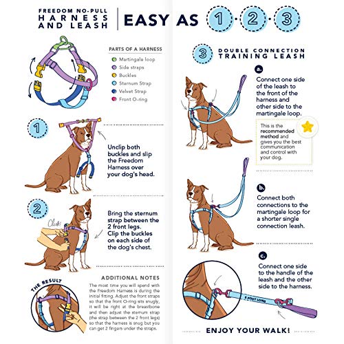 2 Hounds Freedom No-Pull Harness with Leash