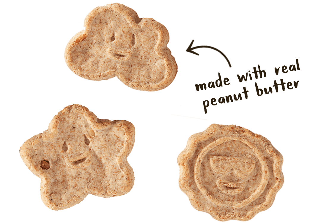Wag More Oats & Grains Biscuits Crunchy Peanut Butter 16 oz
