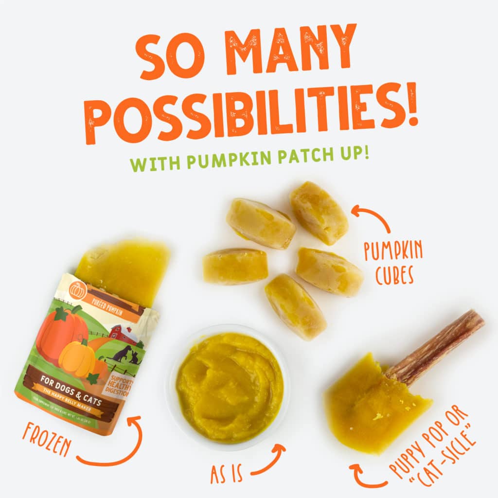 Weruva Pumpkin Patch Up! With Coconut Oil & Flaxseed