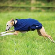 Horseware Amigo Fleece Dog Rug
