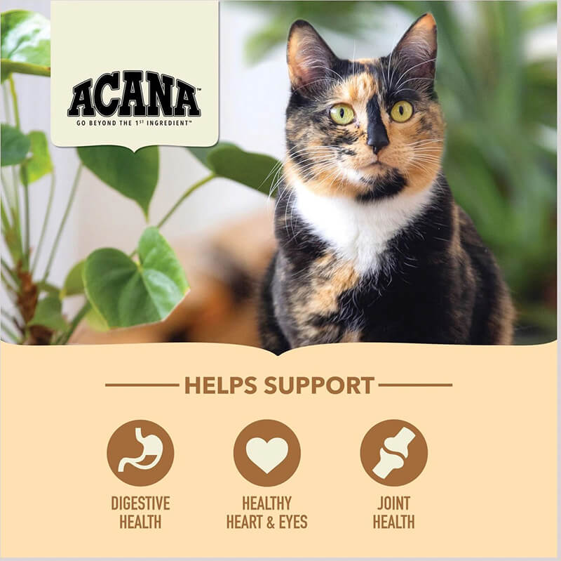 Acana Cat Senior Entree