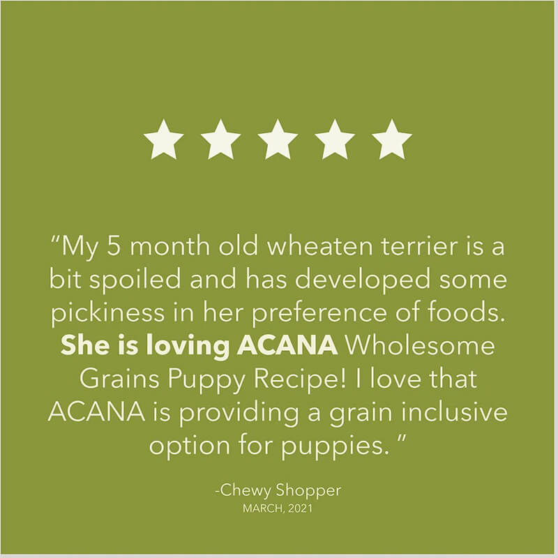 Acana Wholesome Grains Puppy