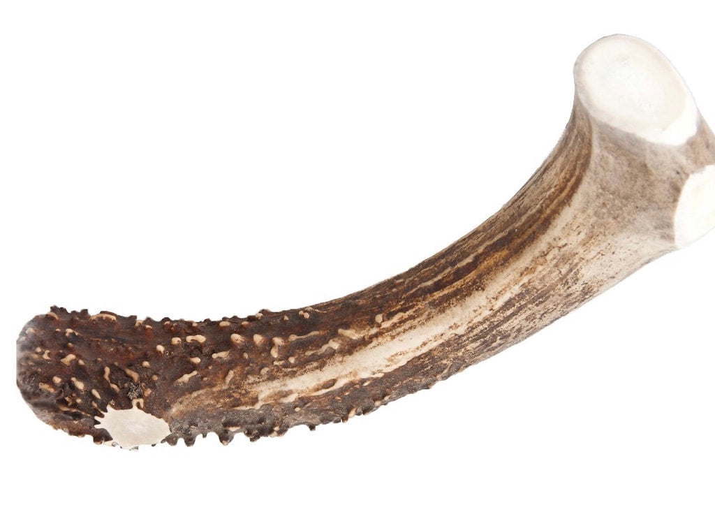 Chasing Our Tails Rack Snack DEER Antler
